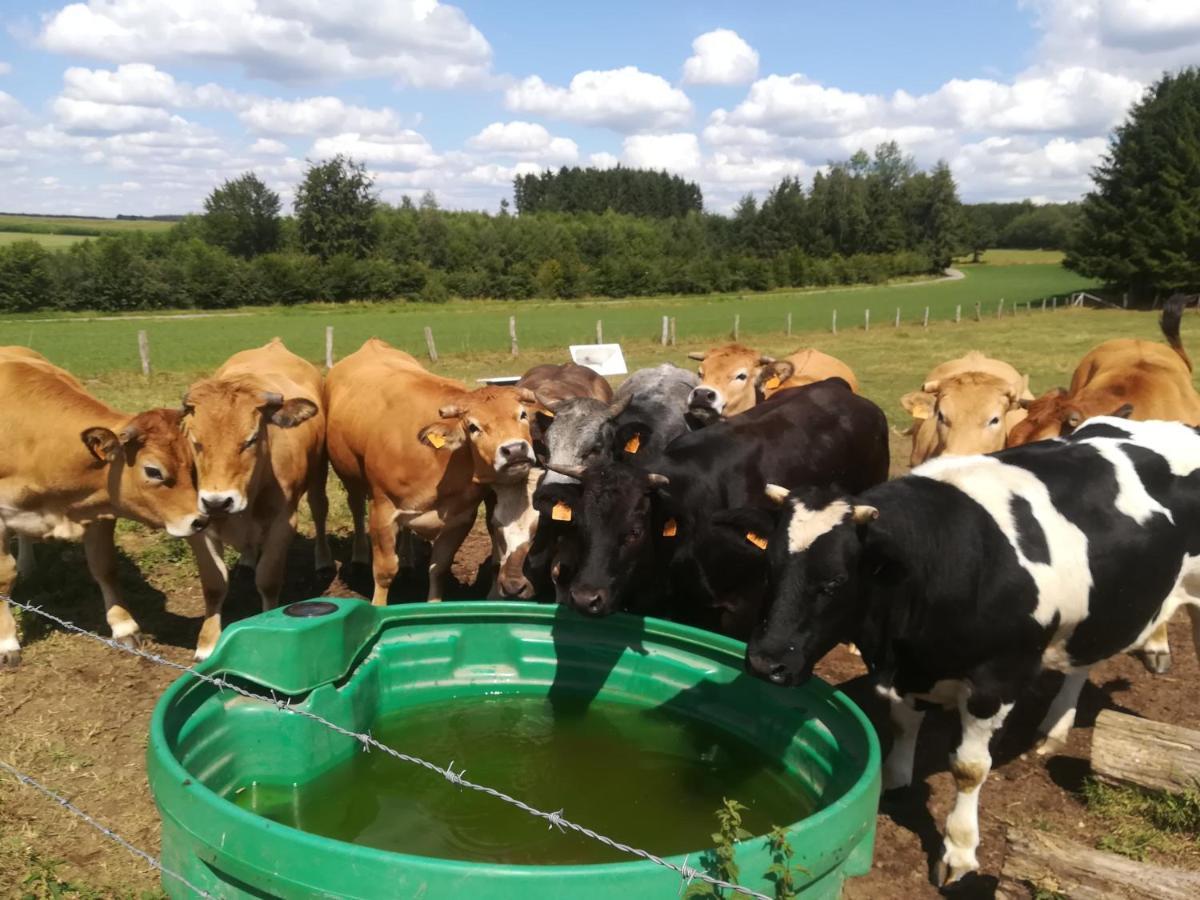 Paliseul La Ferme Oublieeヴィラ エクステリア 写真